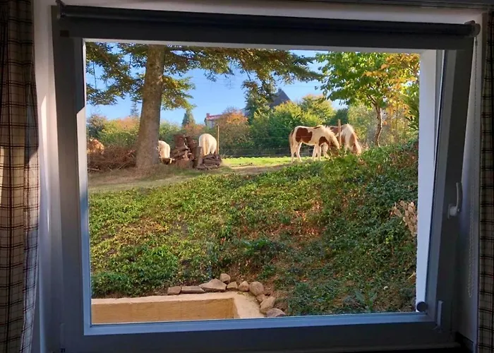 Appartement Idyllische, Separate Im Dortmunder Sueden Dortmund